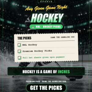 NHL EXCLUSIVE PLAY 7:30 PM EST